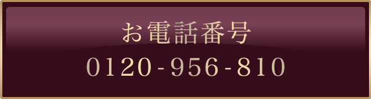 ご新規様お問い合わせ番号 0120-956-810