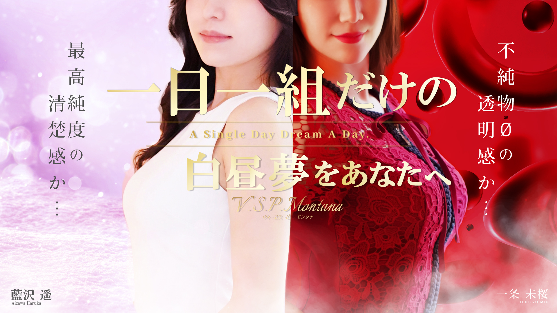 (ピックアップ)メイン